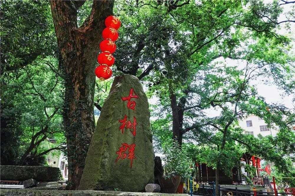 金华适合大学生旅游的地方,金华9月最值得去的地方