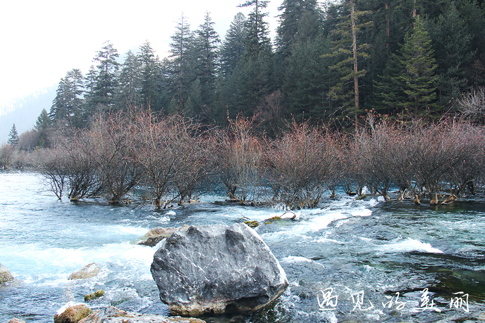 如果一生只去一个古城,一生去一次九寨沟