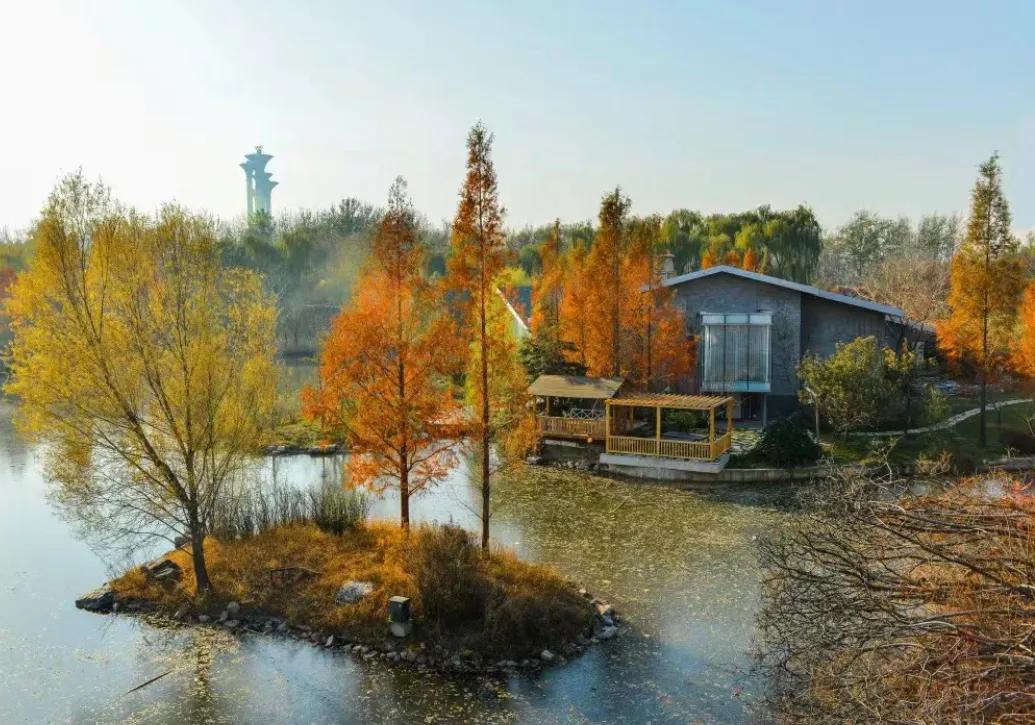 北京这几天适合去哪儿玩儿,北京这几天晚上去哪里玩最好