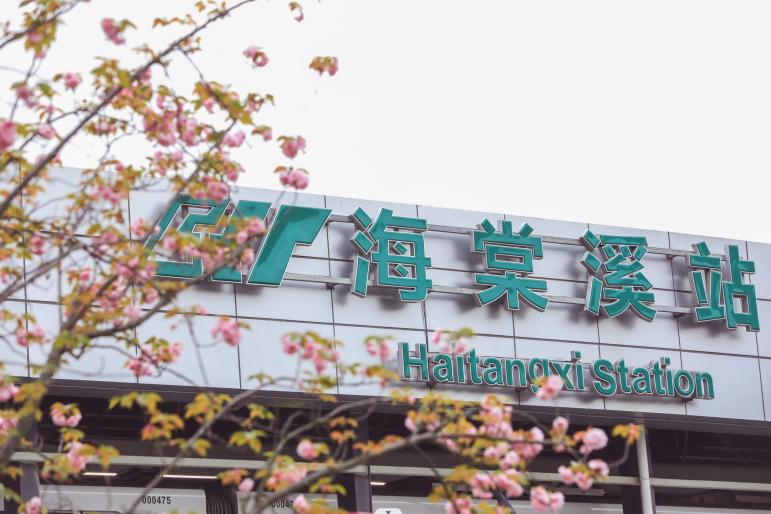 閲嶅簡寰″嘲鑹哄,寰″嘲鑹哄