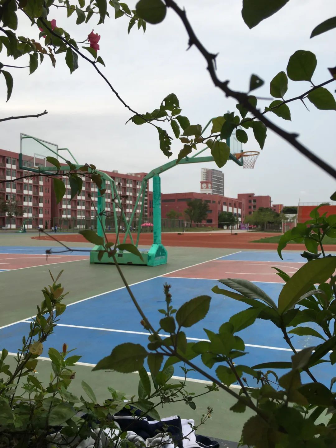 旭光车行雅迪电动车,旭光单车