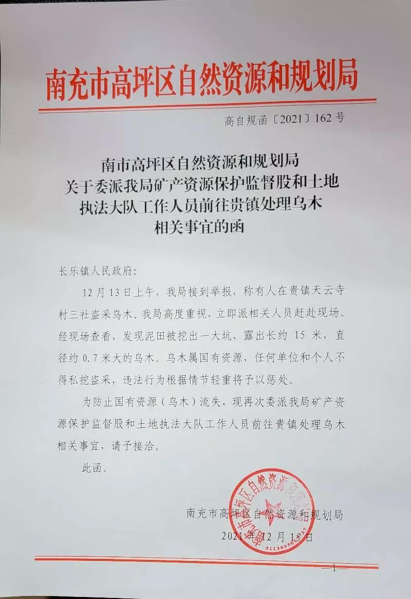 南充阆中挖乌木,南充挖乌木