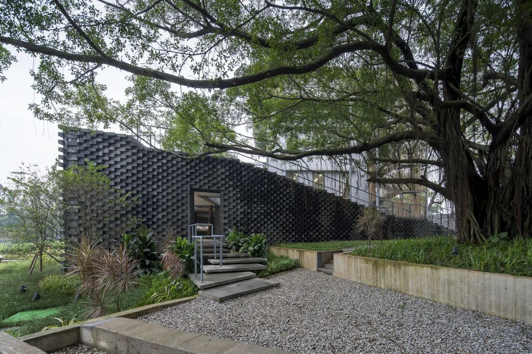 中国茶申遗成功吗,中国茶申遗成功44项名单