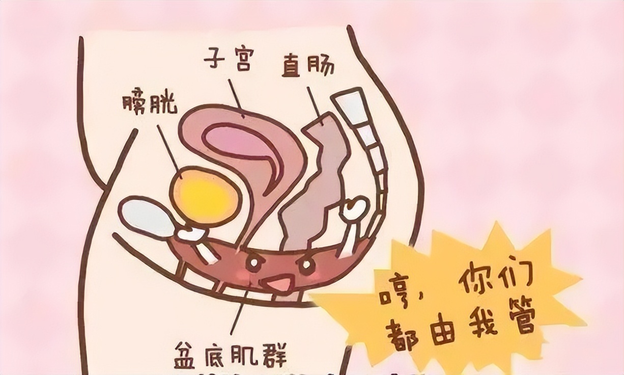 盆底康复操视频教程,盆底康复可以报销吗