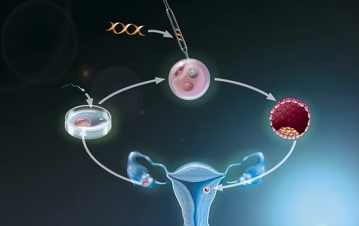 卵泡少需要攒卵用什么方案,卵泡少了排卵就少吗