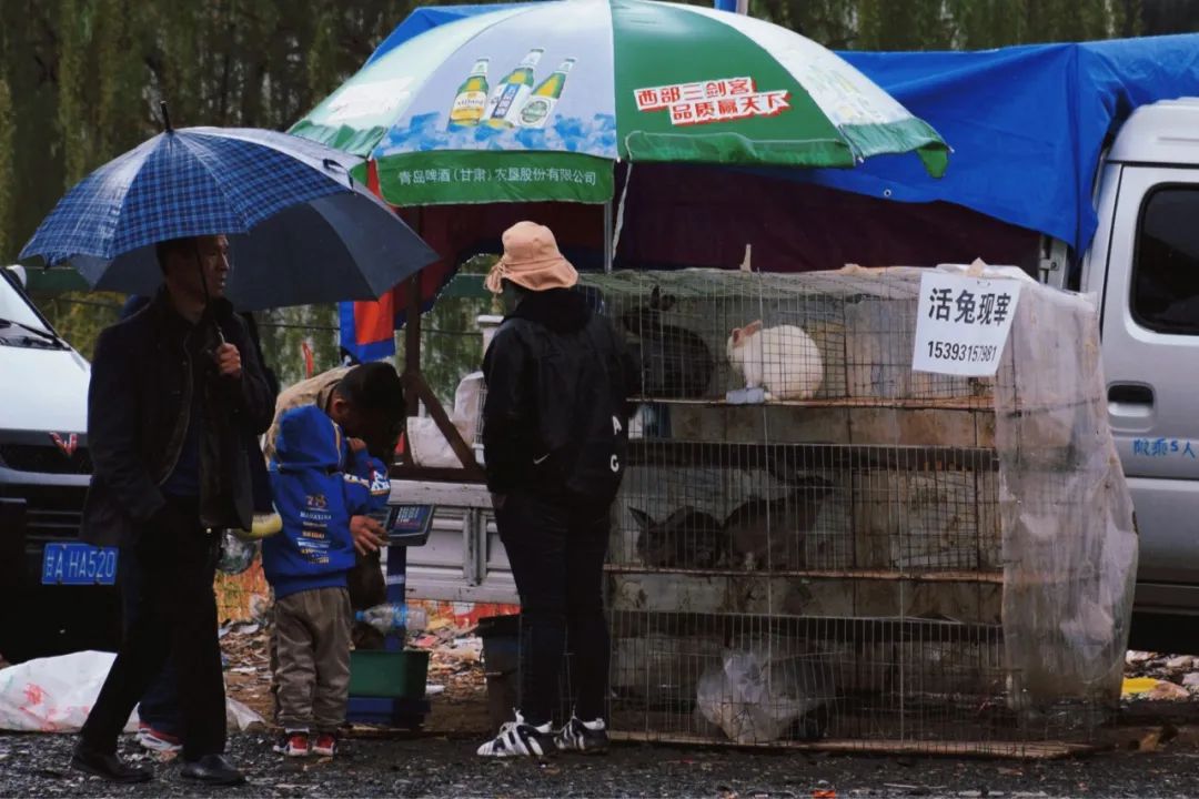 国内最chill的城市，我想投它一票