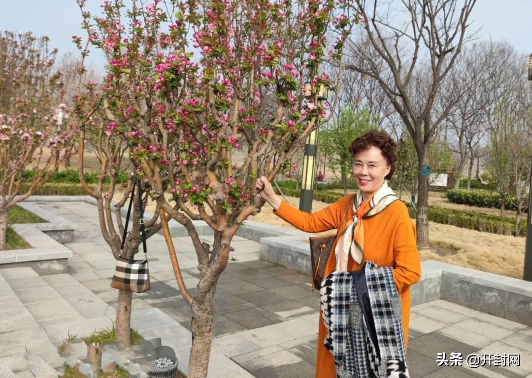 开封求实中学2021费用,开封求实中学和14中哪个好