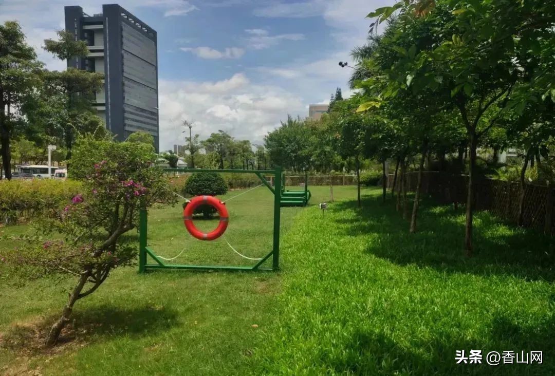 珠海遛狗有市场吗,珠海有哪些地方可以遛狗啊