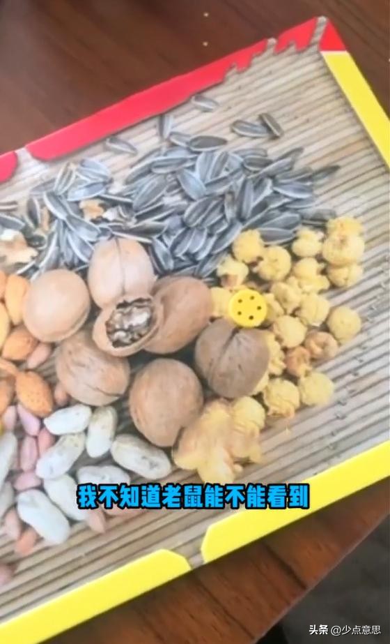 女子买粘画大饼粘鼠板后续 (画大饼粘鼠板后续)