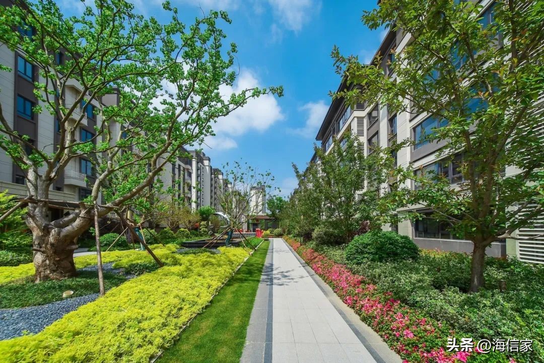 海信地产上半年交付3349户｜以信筑家塑造生活的品格