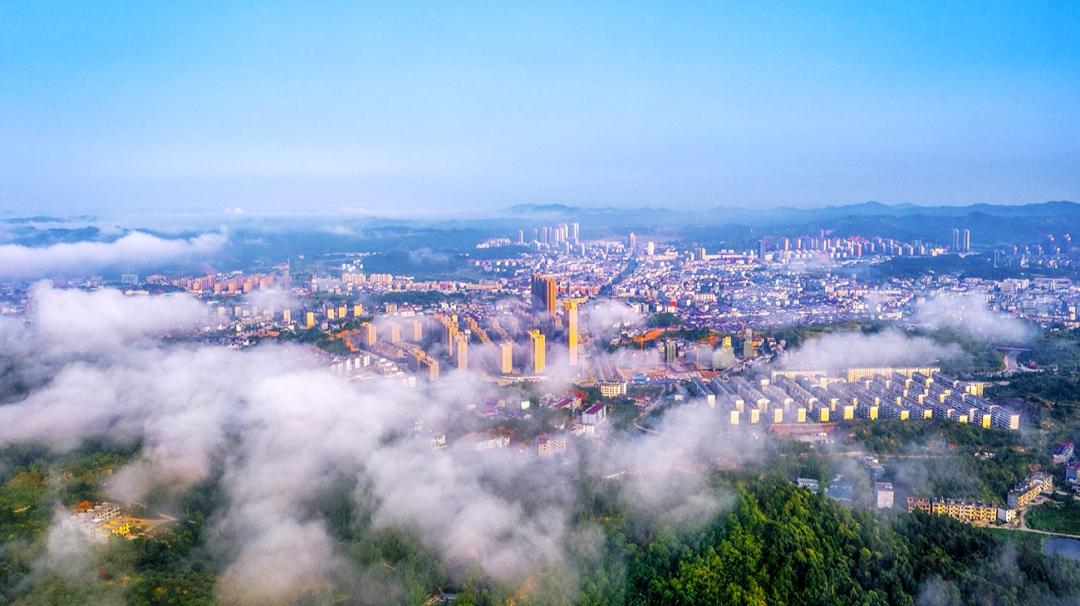 江西樟树第一古樟林,吉尼斯之最古樟树林