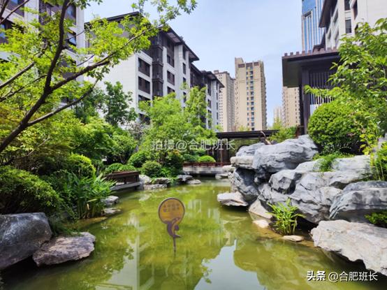 紧邻公园不如住在公园，实探以中式园林闻名的滨湖区葛洲坝紫郡府