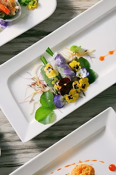 经典摩登复古风的五星级酒店,经典的酒店