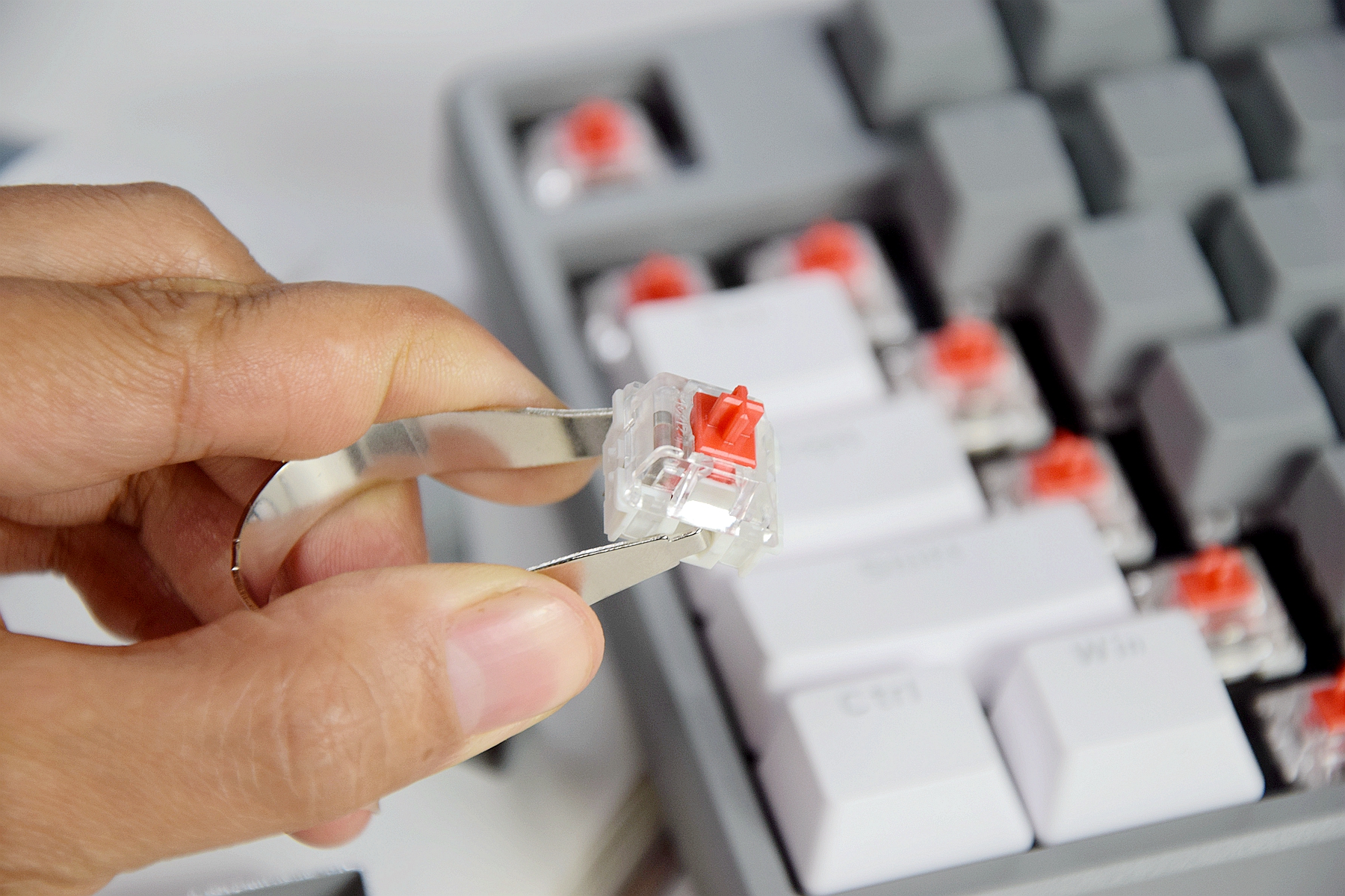 黑爵104键机械键盘,pbt键帽食品级