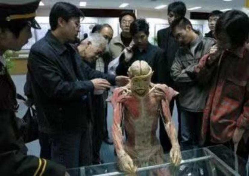 鎺㈢储鍙戠幇鐧惧勾骞插案,澶ч噺骞插案涓撳鍙戠幇鎯婁汉绾跨储