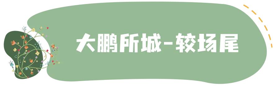 深圳免费儿童好玩的景点排名,深圳景点有哪些好玩的地方免费
