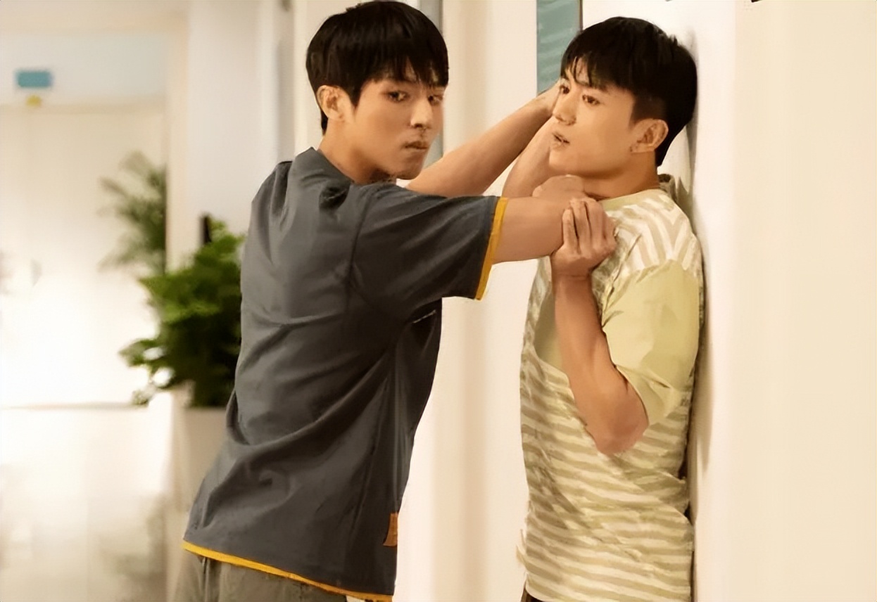 最近收视率高的青春偶像剧,最新播出的青春剧