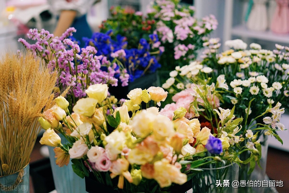 写在情人节：余生的岁月，我就是你的“眼”