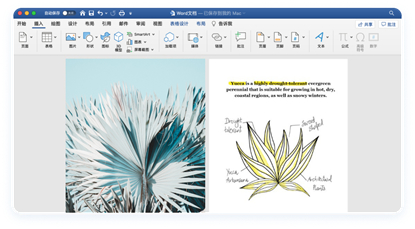 wps灾难性故障,wps灾难性修复