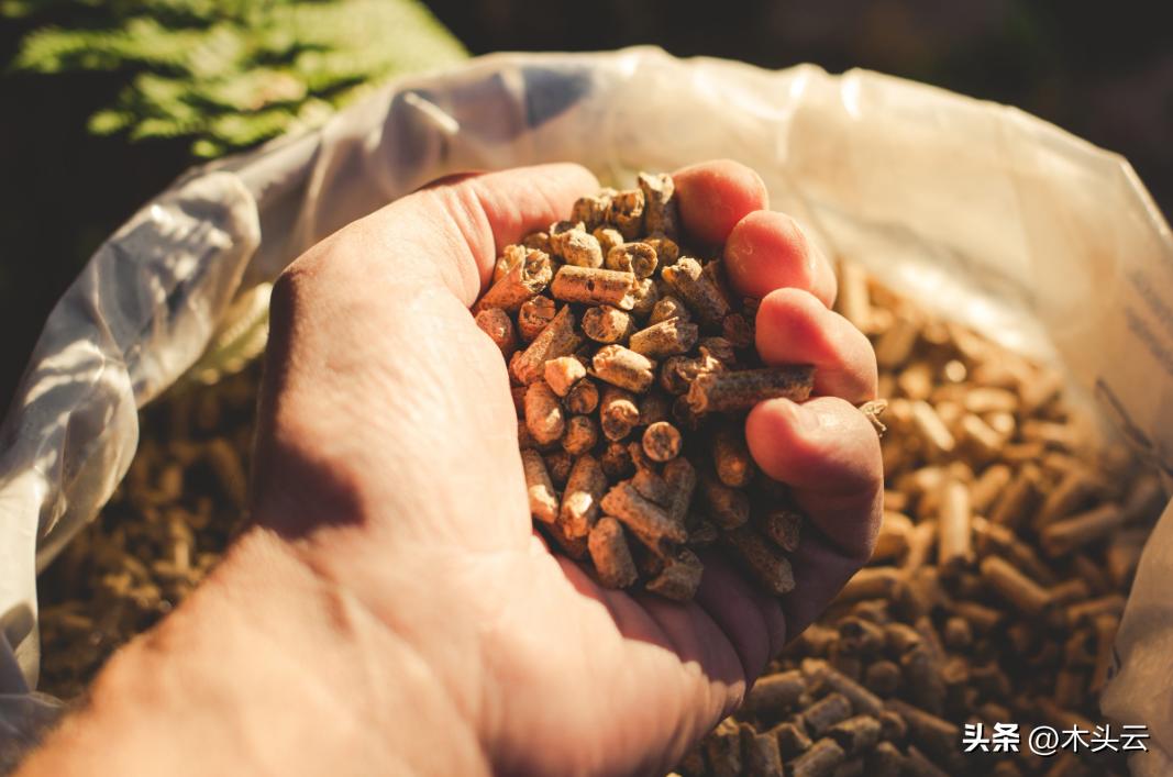 俄罗斯木屑颗粒进口,进口俄罗斯木屑颗粒