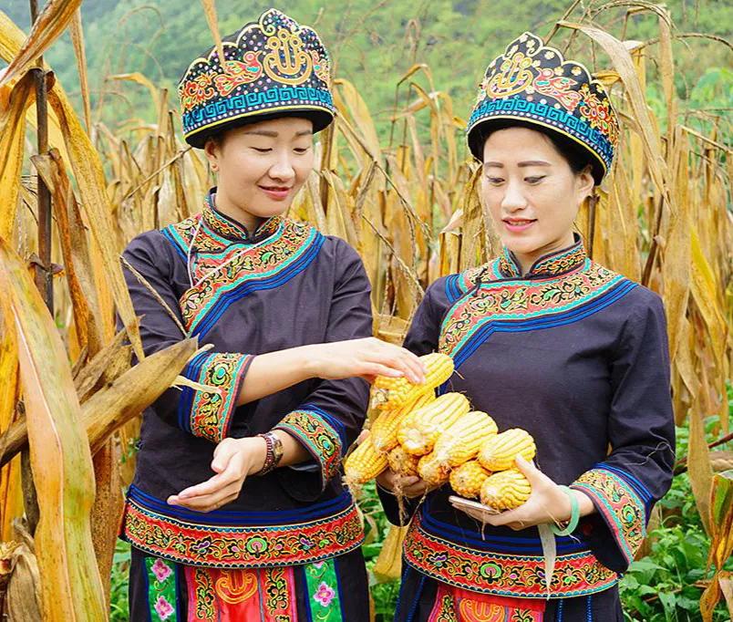 五十六个民族的风俗和服饰,费青儿五十六个民族服饰合集