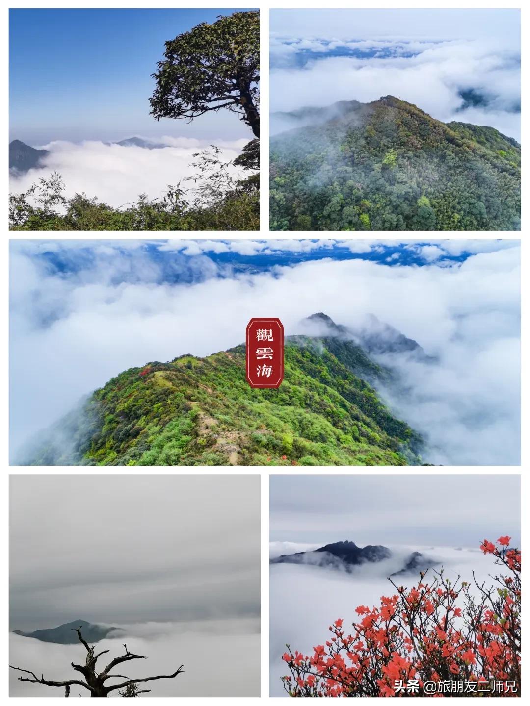 清远金子山旅游攻略看雾凇,广东金子山雪景旅游攻略