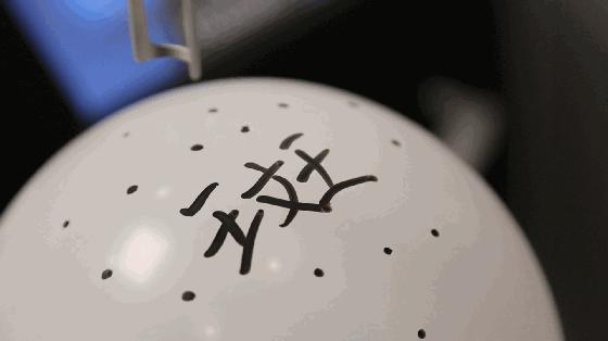 遮瑕色斑化妆的正确步骤教程,干性皮肤脸上有色斑怎么遮瑕