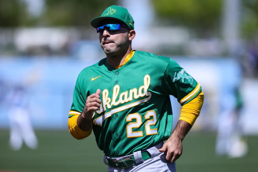 一周红黑榜,一周红黑榜完整视频