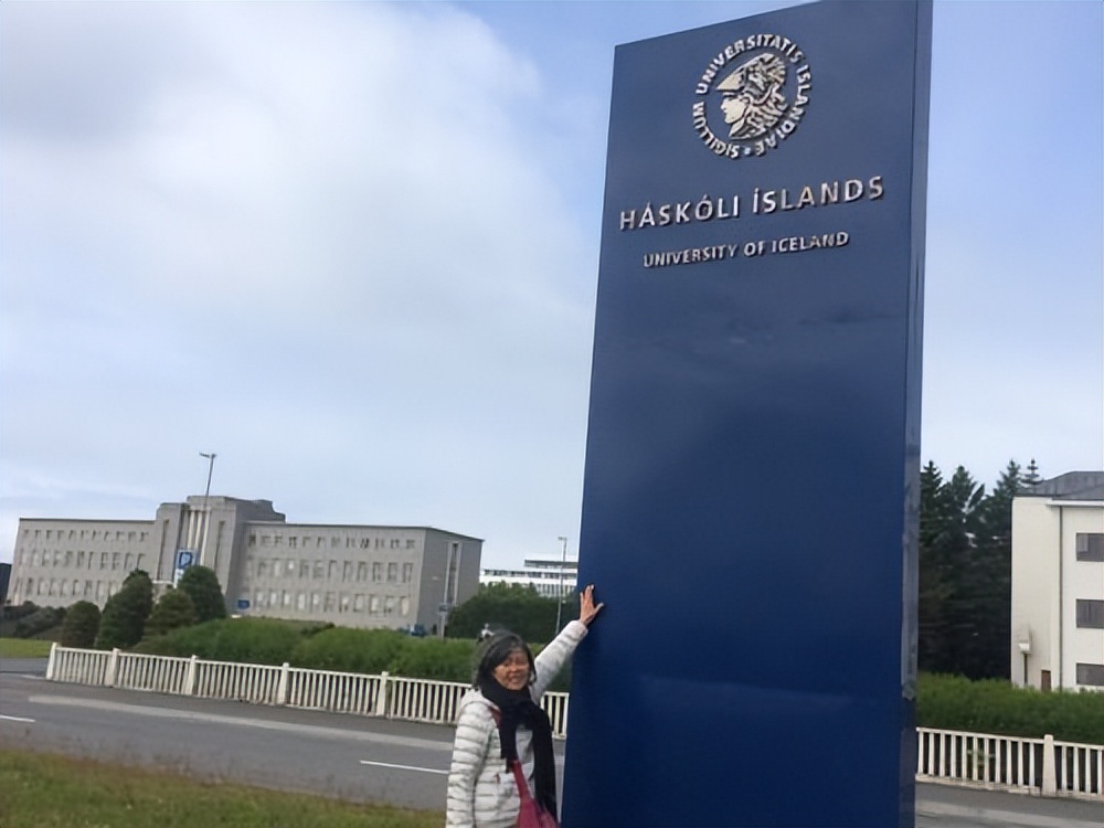 为什么冰岛高度发达,冰岛是发达国家还是发展中国家