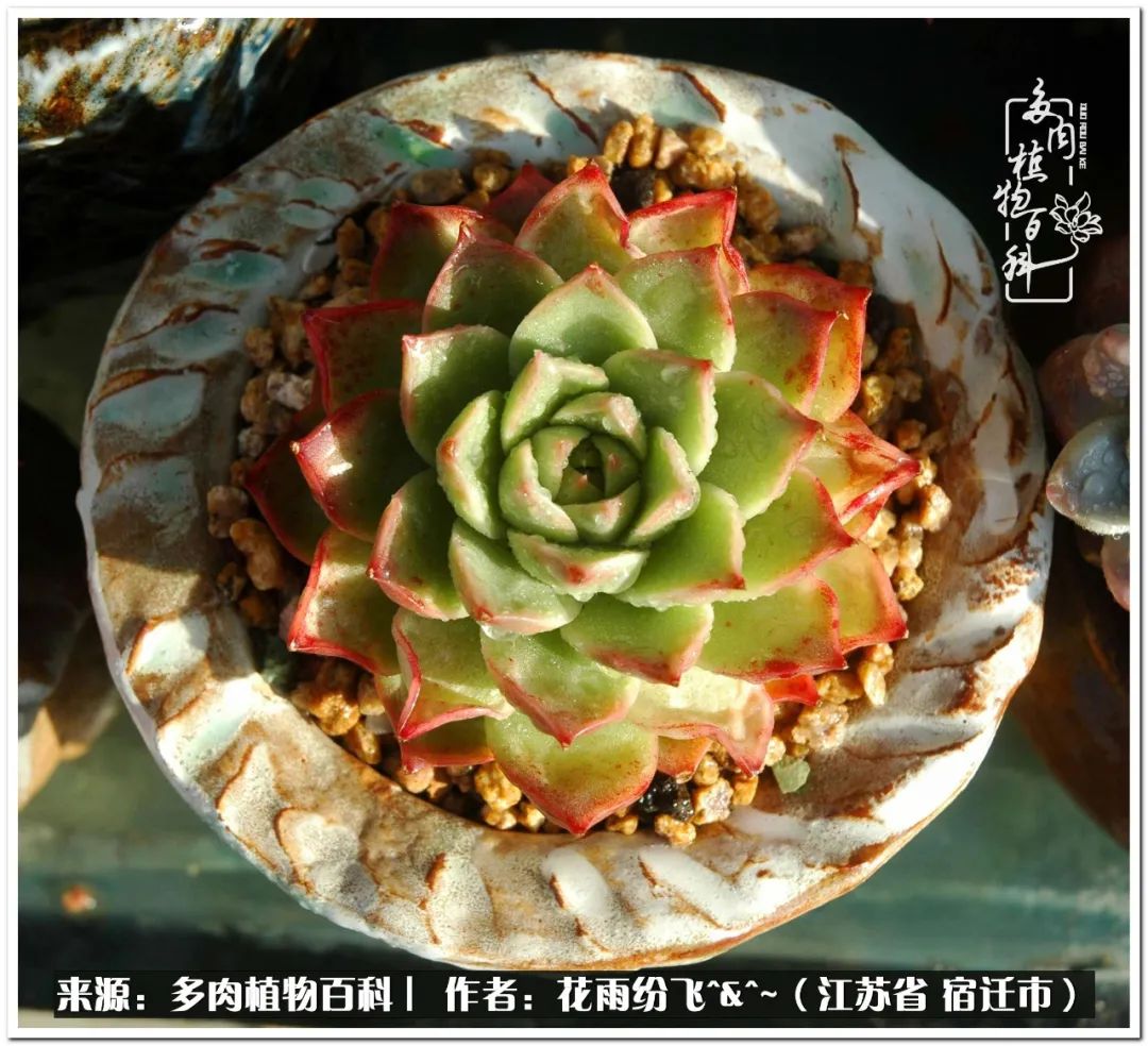 回味童年无忧无虑的快乐时光,童年最快乐的时光