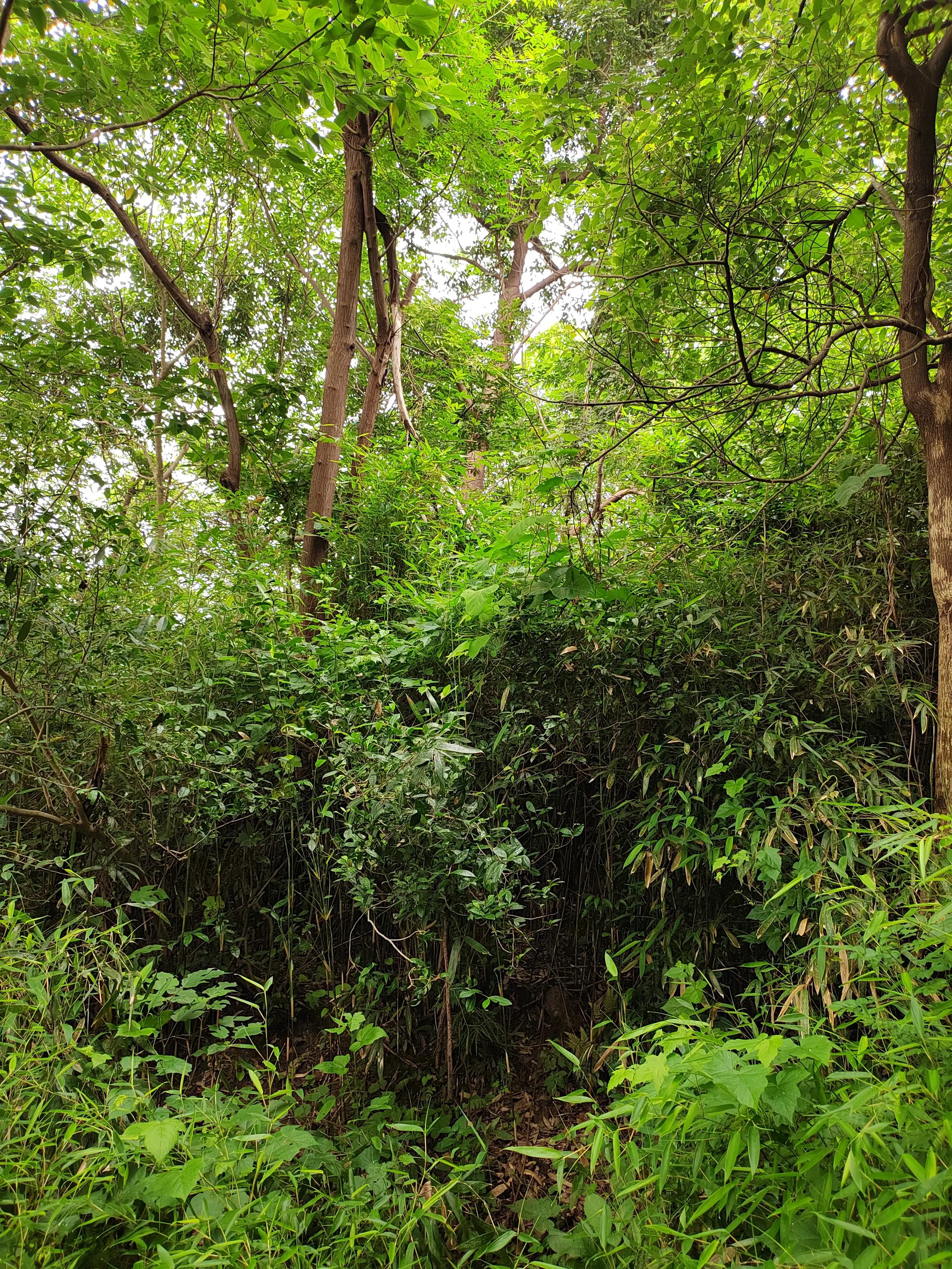 不由得想起家乡,不由自主地想起远方的亲人