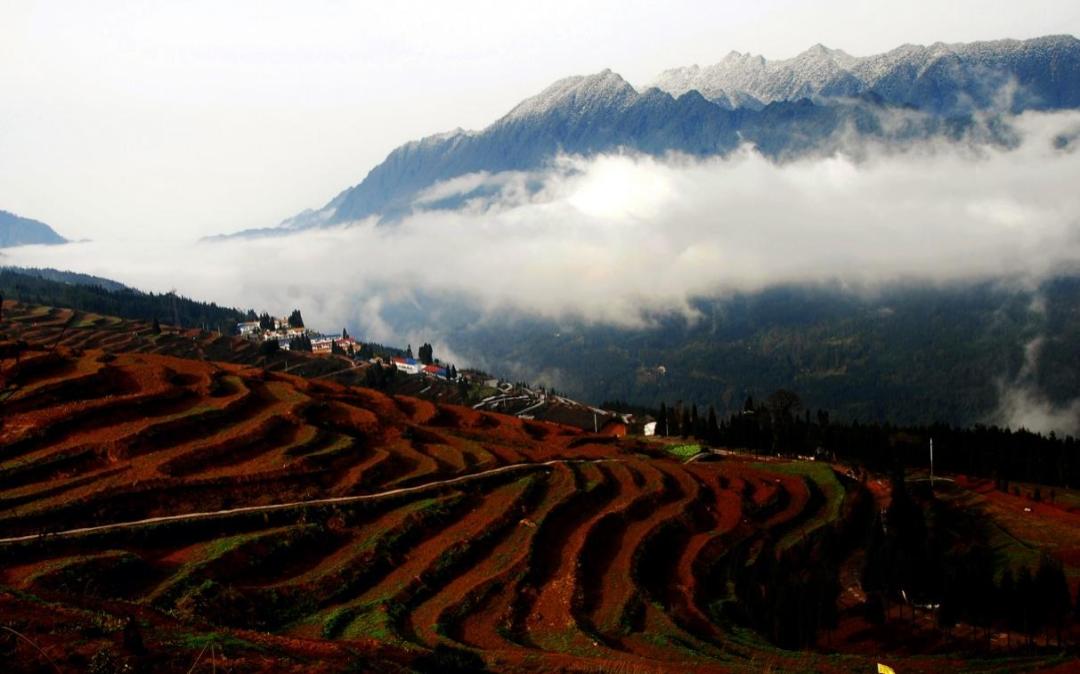 邛崃酒的历史文化,邛崃中国酒源