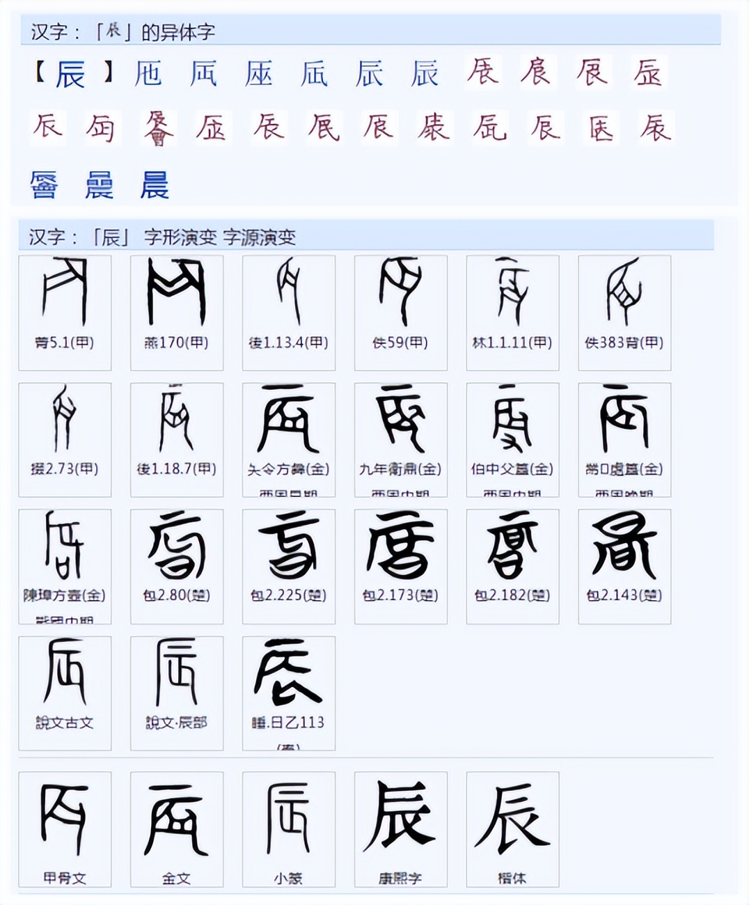 子丑寅卯十二地支和属相的关系,子丑寅卯是十二时辰还是十二地支