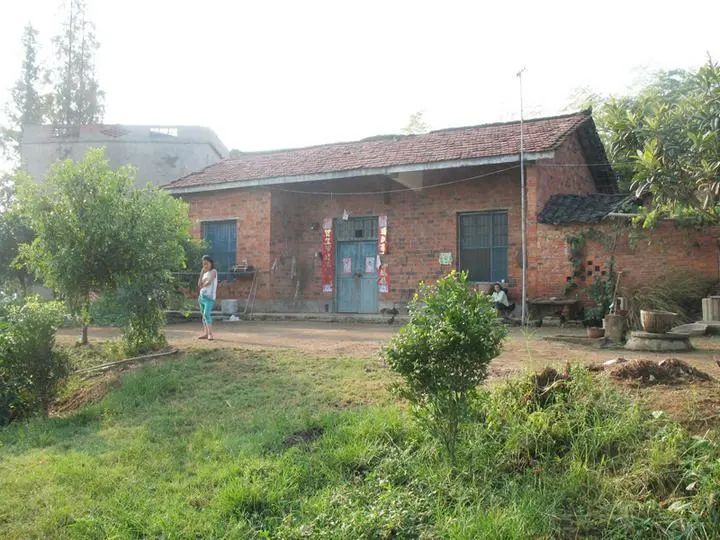 散文：一项有趣的晨练运动