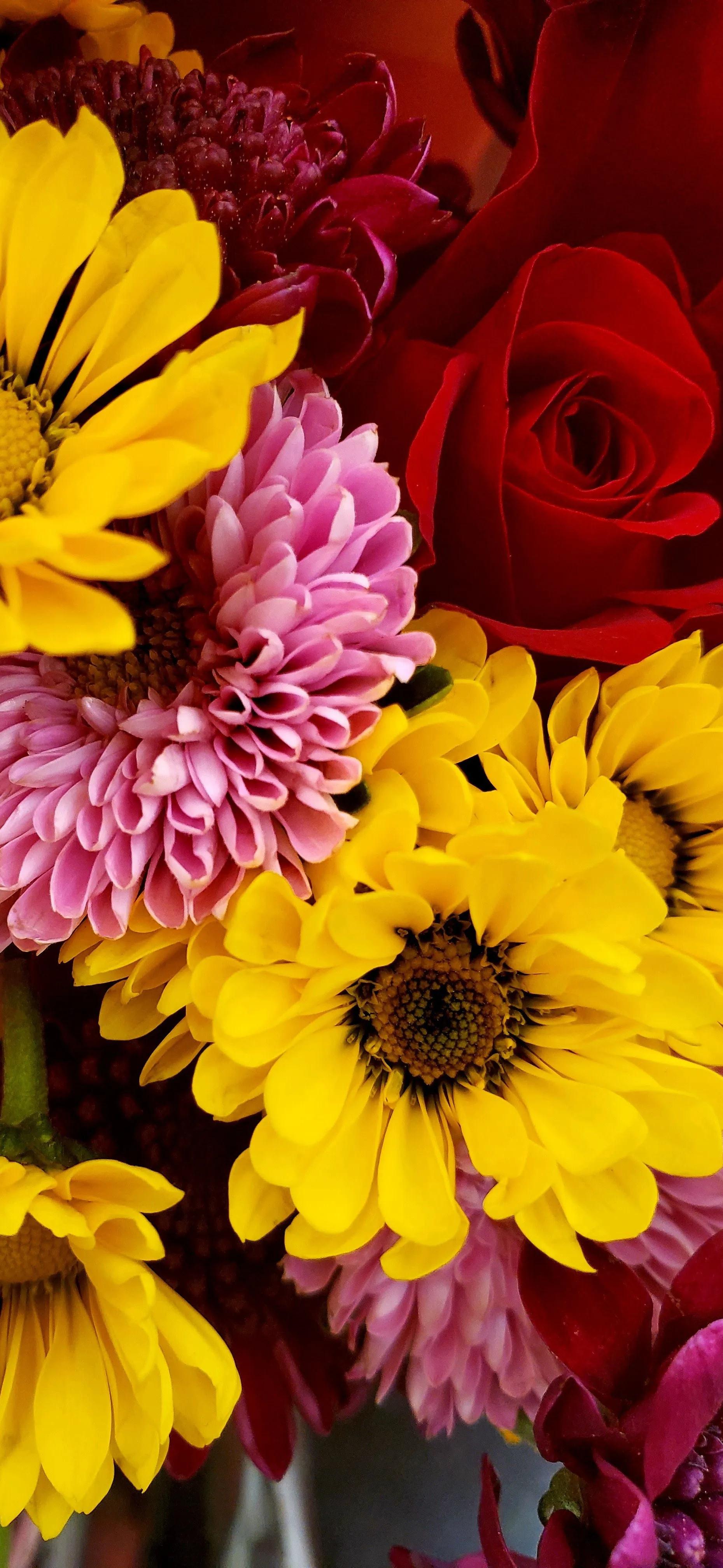 高清全面屏手机壁纸,米奇壁纸高清全面屏