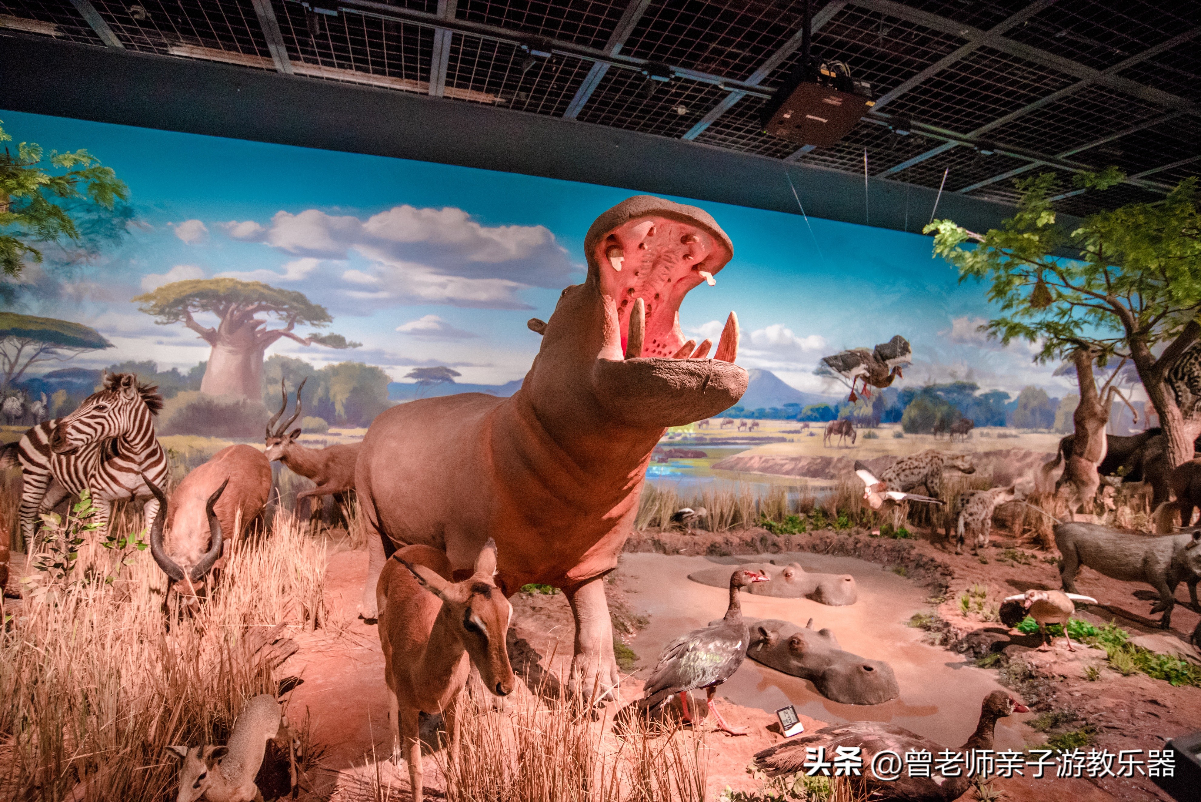 西安2023旅游攻略,2023年西安必去景点