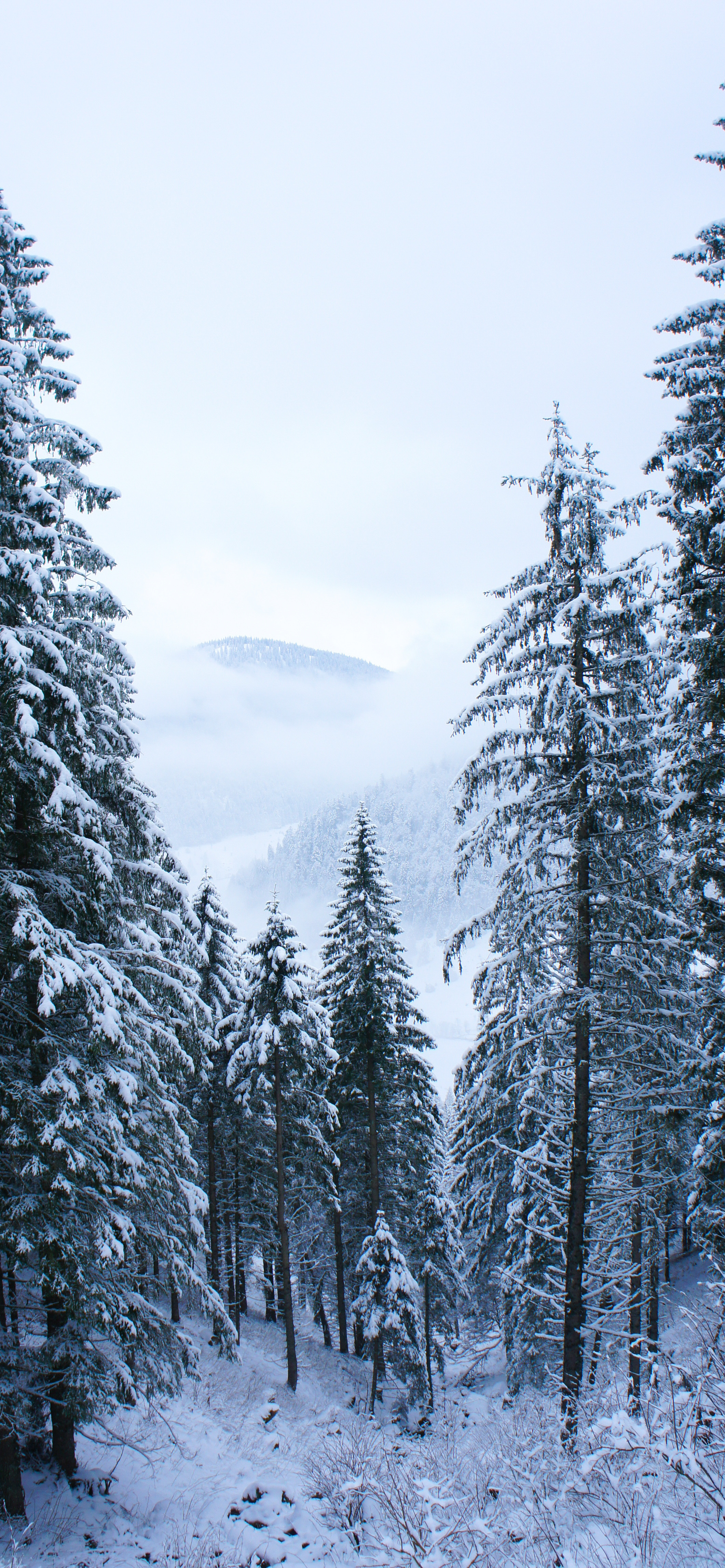 iphone13promax壁纸下载,iphone13promax壁纸动态