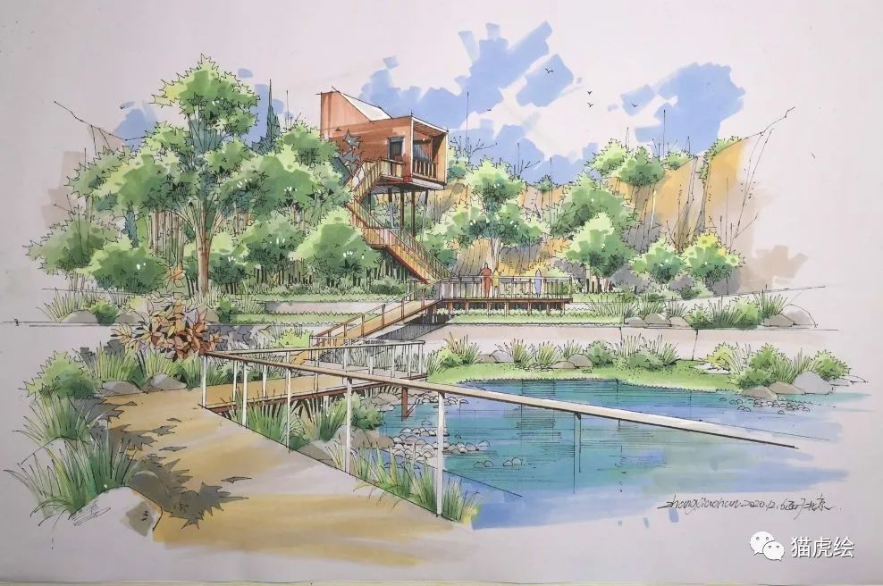 2022猫虎绘暑假手绘班招生简章「线上+线下」