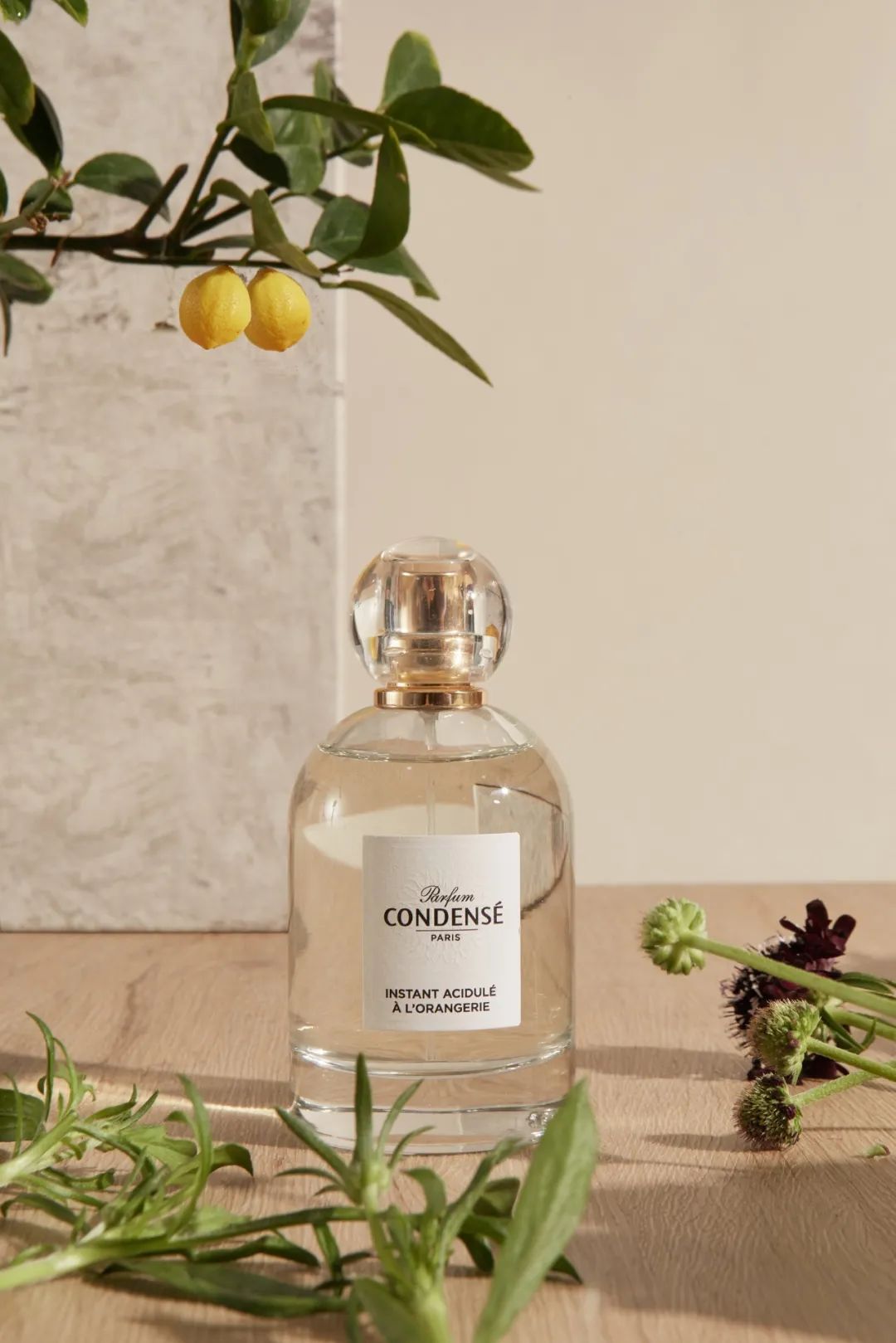 法国珂蒂丝包装,法国珂蒂丝雕塑精华