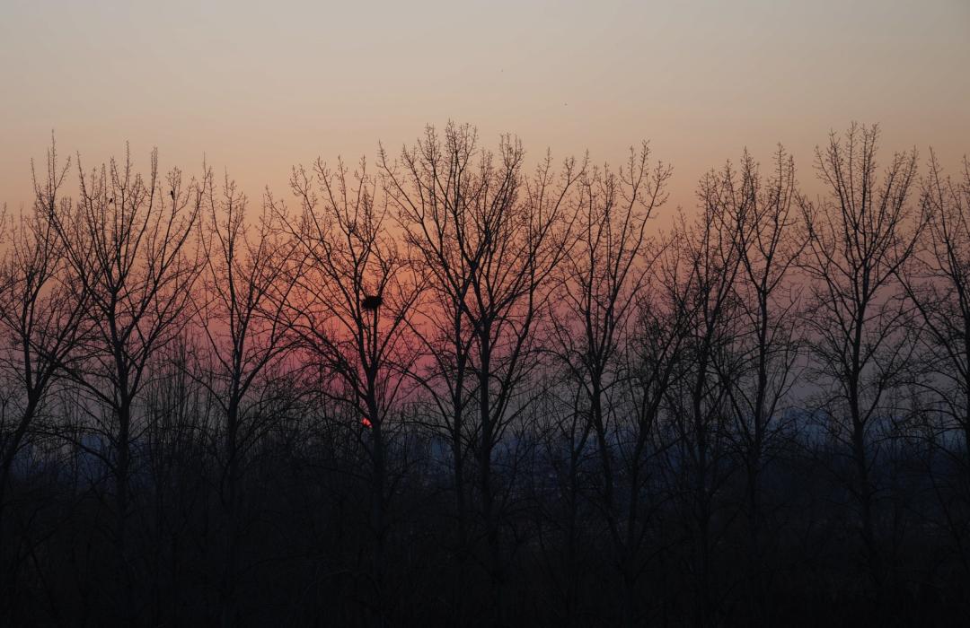 夜读散文留住深山时光,夜读散文美文
