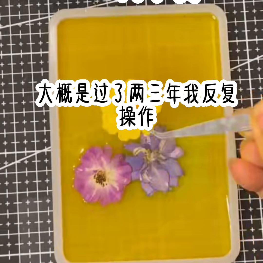 📖茗:一向不负#看了不后悔系列