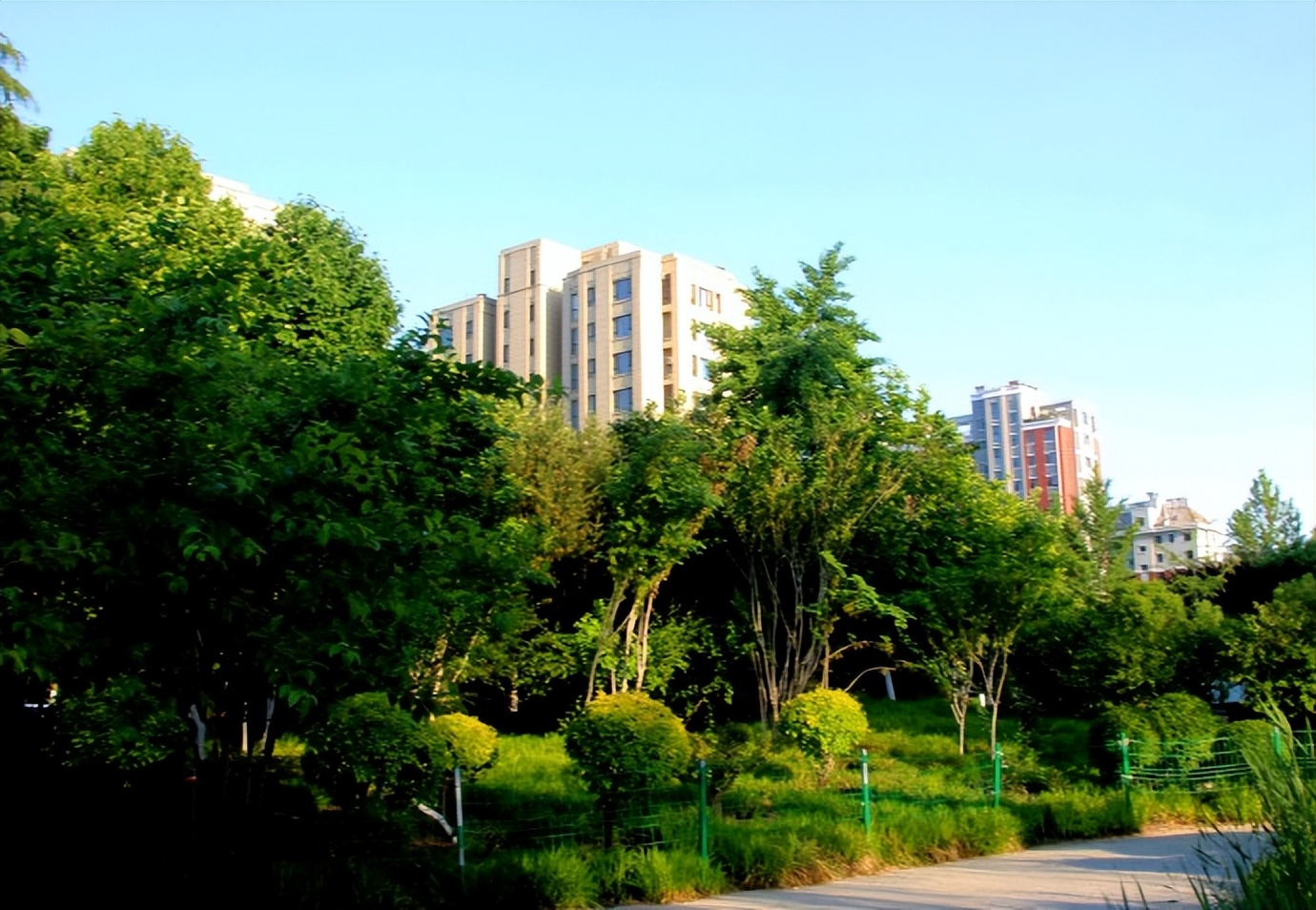 体检·小酌·途中·公园·侄女·其它