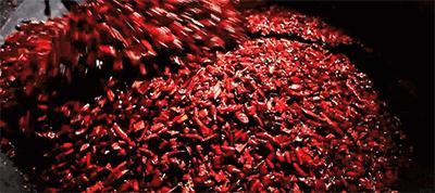 辣椒着火,辣椒厂起火视频