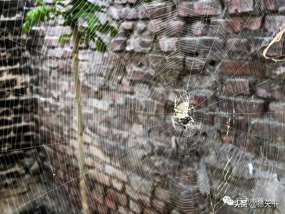 关于照相机的科普,关于照相机的动画