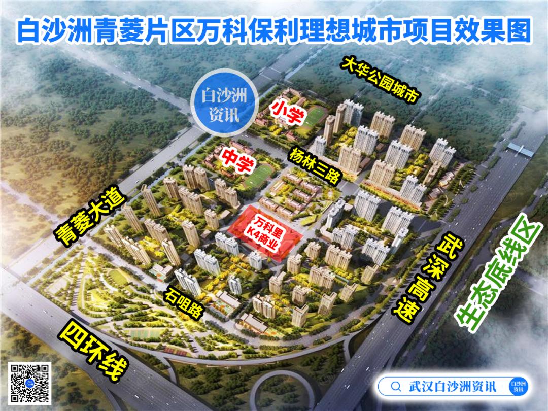 白沙洲万科小学新校区,万科理想星光白沙洲对口学校