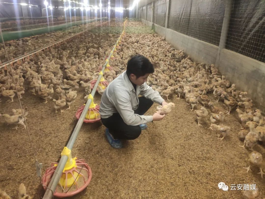 创业担保贷款10万免息政策,创业担保贷款贴息50%