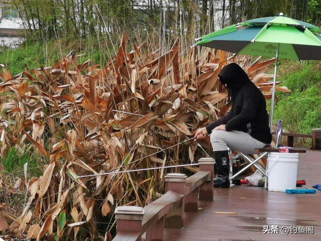钓鱼人的水平高不高,钓鱼人必备的十大标准