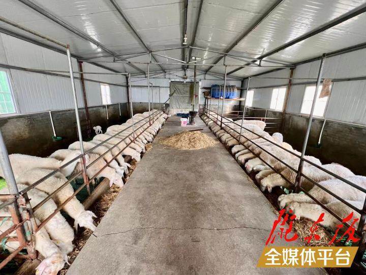 新春走基层夫妻,返乡创业的夫妻日常