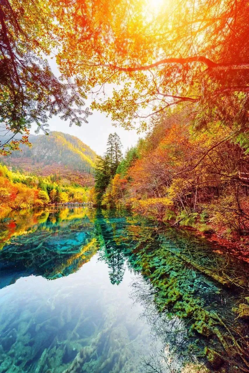 诗与远方美景,诗与远方四川