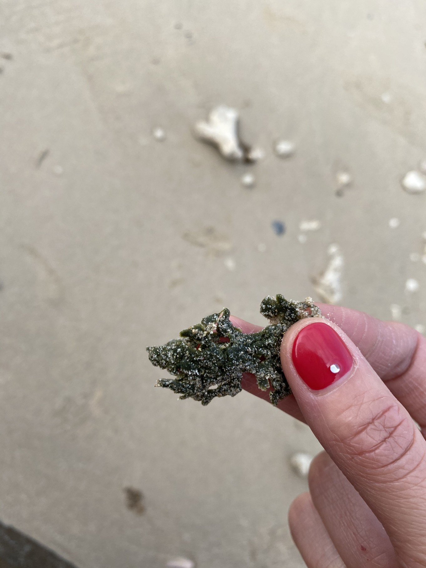 北海四天三晚住哪里最好,北海4天3晚详细攻略